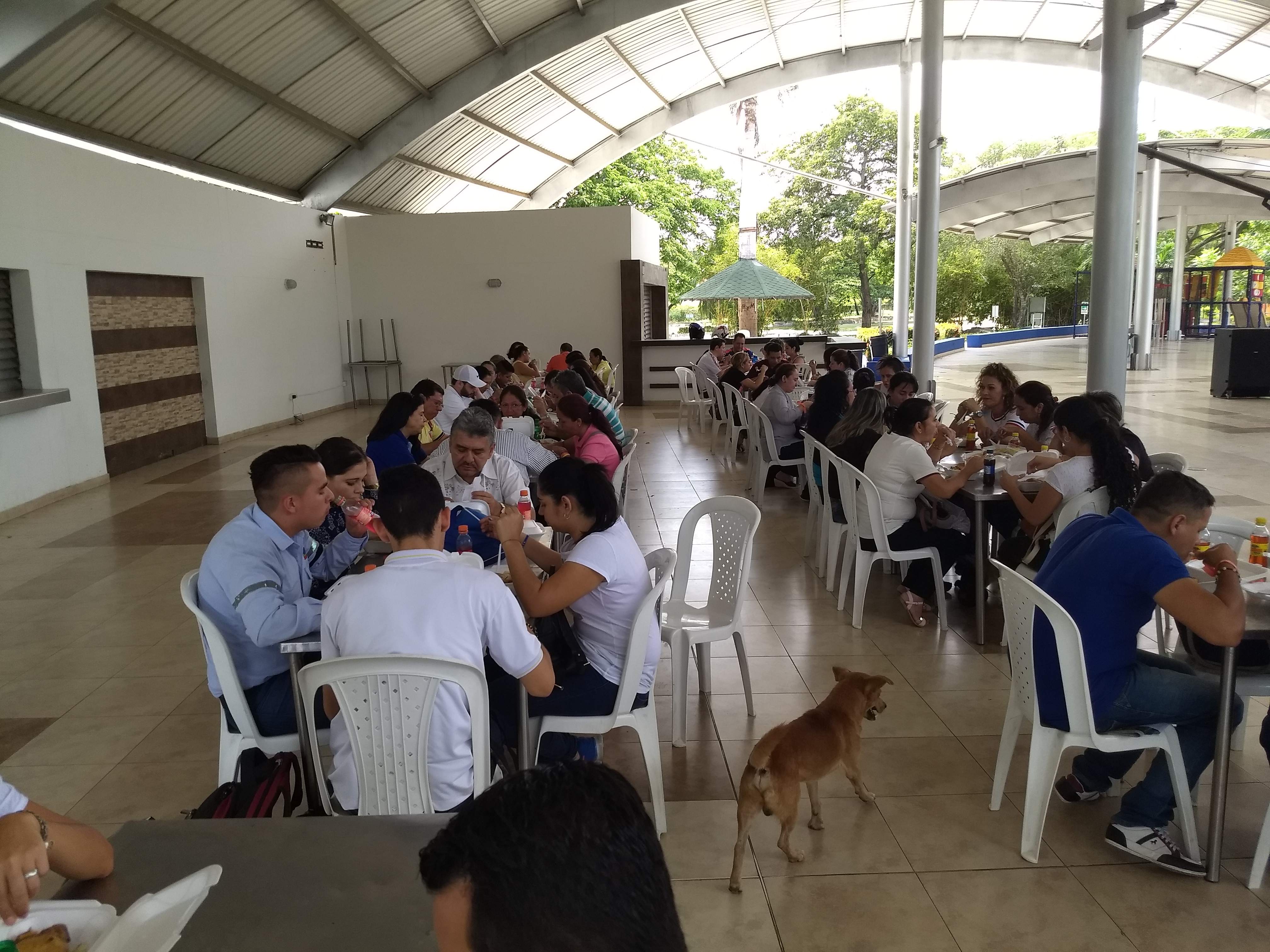 TALLER DE REINDUCCIÓN
